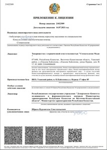 Лицензия Лицензия