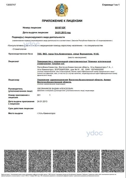 Лицензия Лицензия