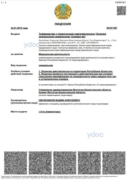 Лицензия Лицензия