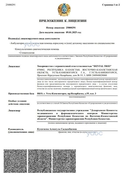 Лицензия Лицензия