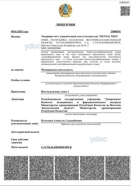 Лицензия Лицензия