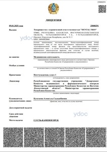 Лицензия Лицензия