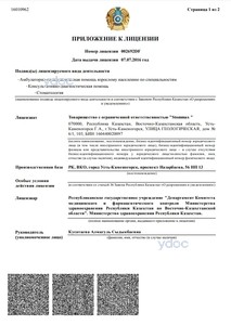 Лицензия Лицензия