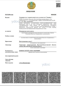 Лицензия Лицензия