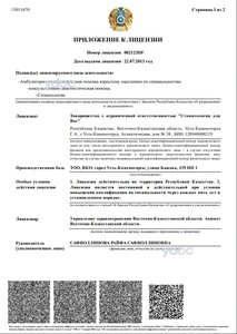 Лицензия Лицензия