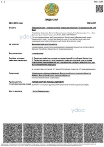 Лицензия Лицензия