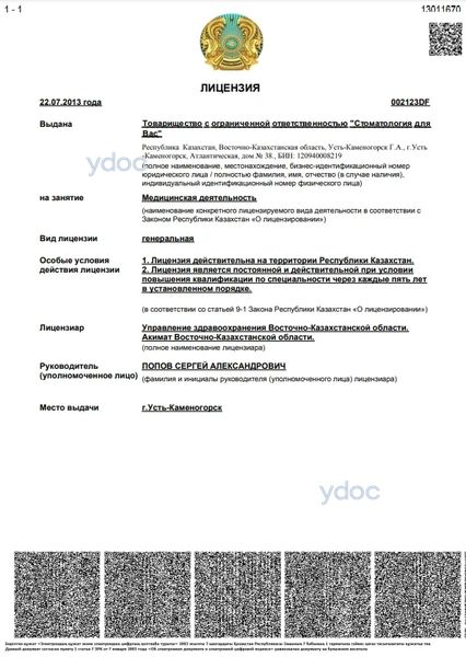 Лицензия Лицензия