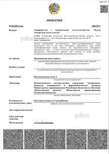 Лицензия Лицензия