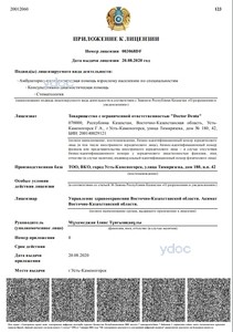 Лицензия Лицензия