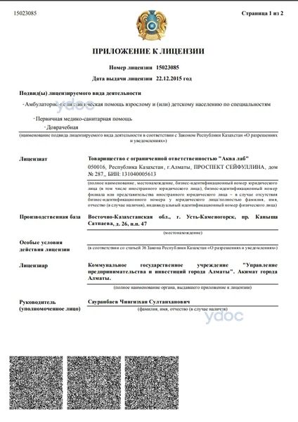 Лицензия Лицензия