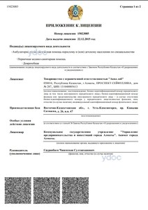 Лицензия Лицензия