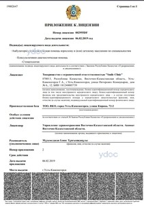 Лицензия Лицензия