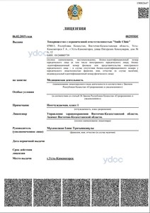 Лицензия Лицензия