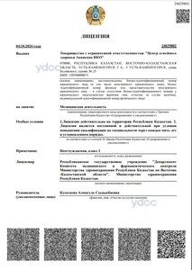 Лицензия Лицензия