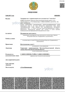 Лицензия Лицензия