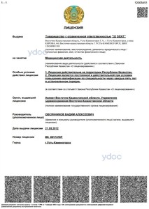 Лицензия Лицензия