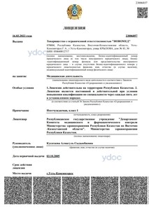 Лицензия Лицензия