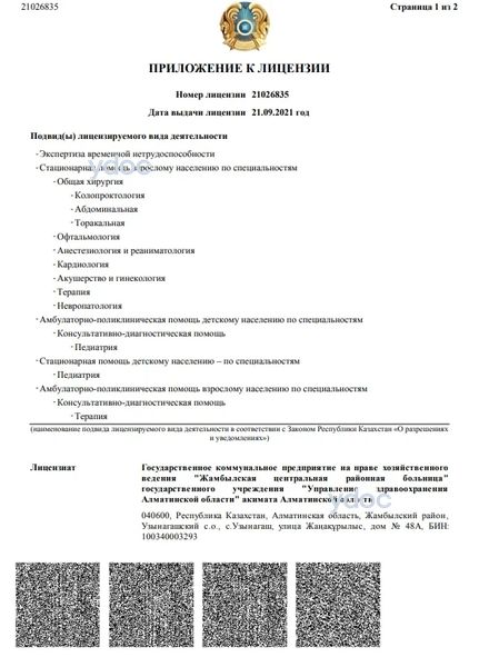 Лицензия Лицензия