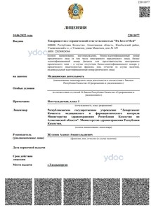 Лицензия Лицензия