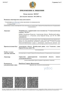 Приложение к лицензии Приложение к лицензии