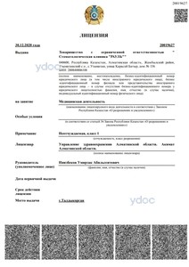 Лицензия Лицензия