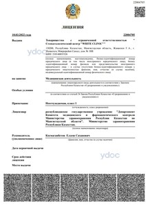 Лицензия Лицензия