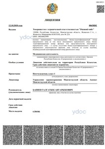 Лицензия Лицензия