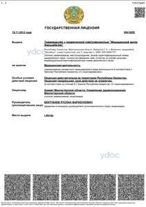 Лицензия Лицензия