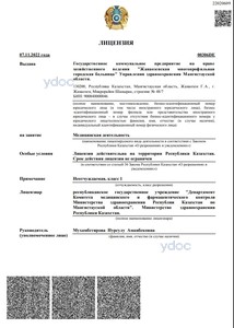 Лицензия Лицензия