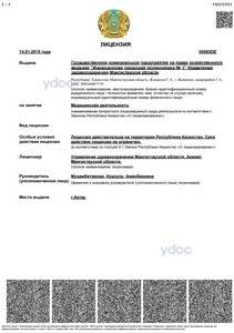 Лицензия Лицензия