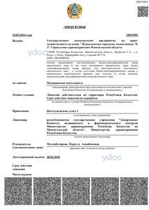 Лицензия Лицензия