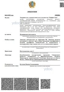 Лицензия Лицензия