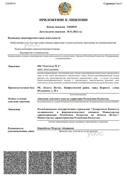 Лицензия Лицензия