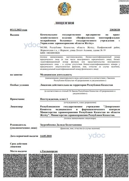 Лицензия Лицензия