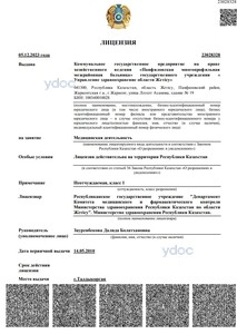 Лицензия Лицензия