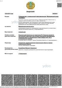 Лицензия Лицензия