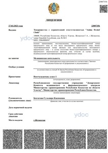 Лицензия Лицензия